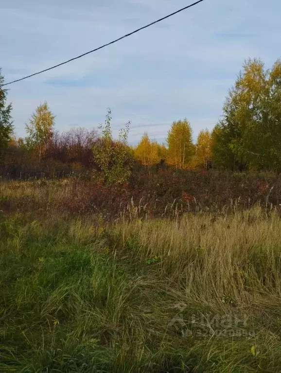 Участок в Челябинская область, Копейск Березка-4 СНТ, 518 (5.89 сот.) - Фото 1
