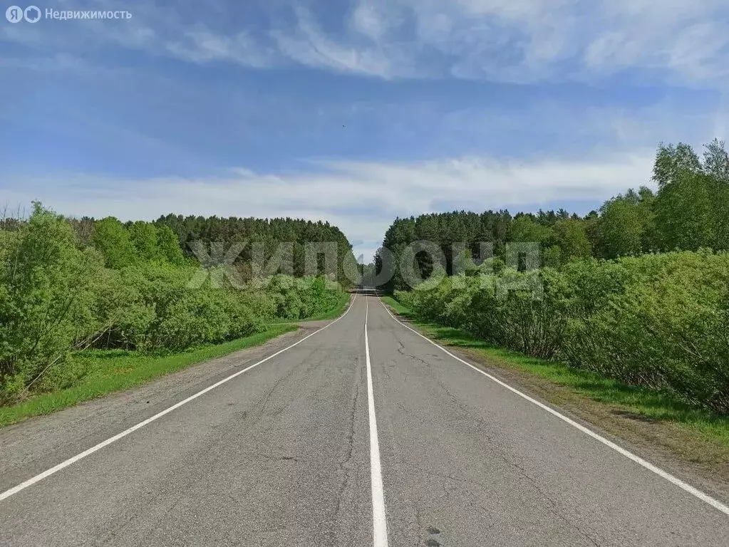 Участок в Вершинино, Источная улица (2480 м) - Фото 0