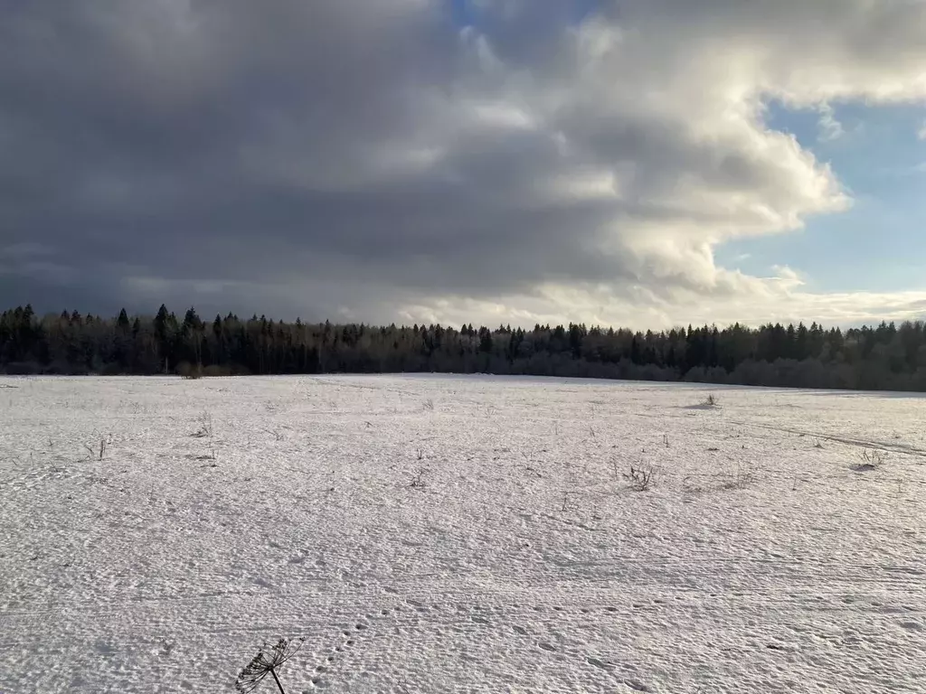 Участок в Московская область, Рузский муниципальный округ, д. ... - Фото 0