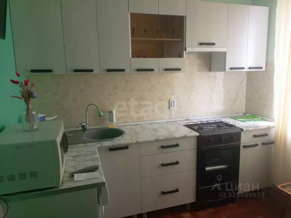 1-к кв. Воронежская область, Борисоглебск ул. Павловского, 87 (32.9 м) - Фото 1