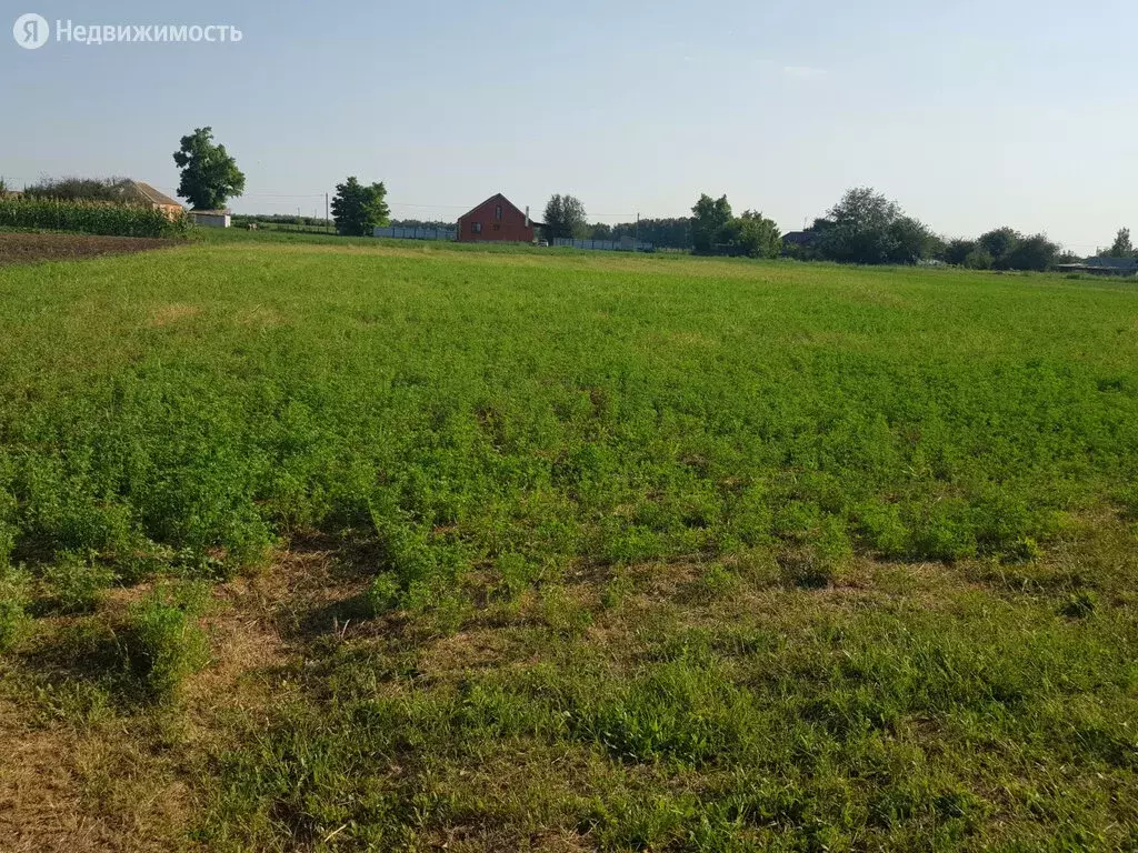 Дом в село Самарское, переулок Ленина (90 м), Купить дом Самарское,  Азовский район, ID объекта - 50013147083