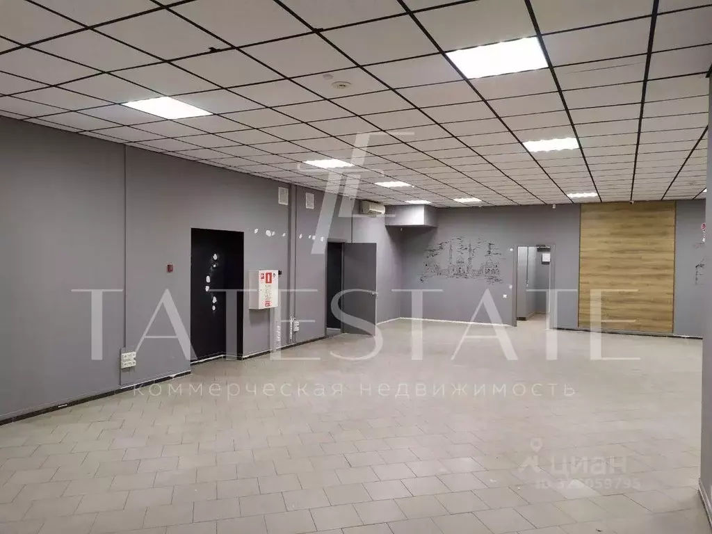 Помещение свободного назначения в Татарстан, Казань Московская ул., 17 ... - Фото 1