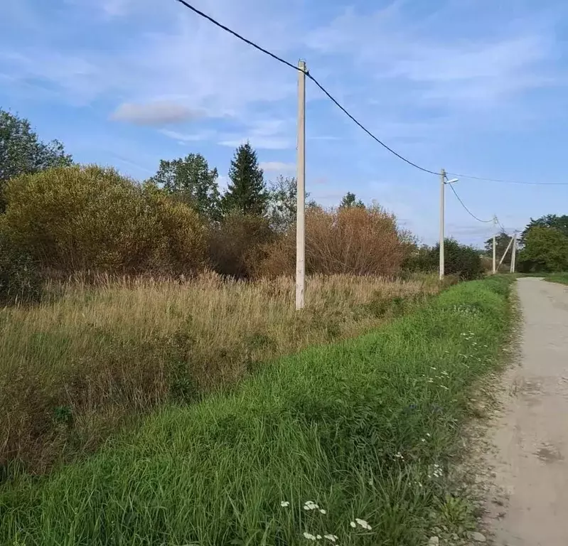 Участок в Ленинградская область, Тосненский район, Трубникоборское ... - Фото 0