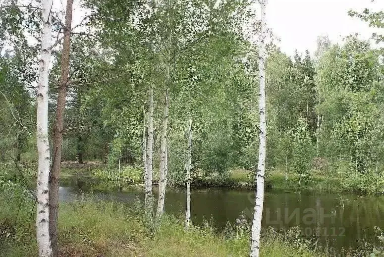 Участок в Свердловская область, Белоярский муниципальный округ, пос. ... - Фото 1