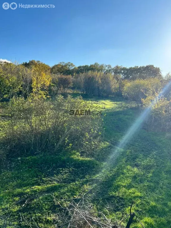 Участок в Краснодарский край, муниципальный округ Анапа, хутор Куток ... - Фото 1