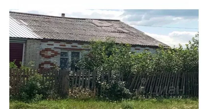Помещение свободного назначения в Курганская область, Куртамышский ... - Фото 1
