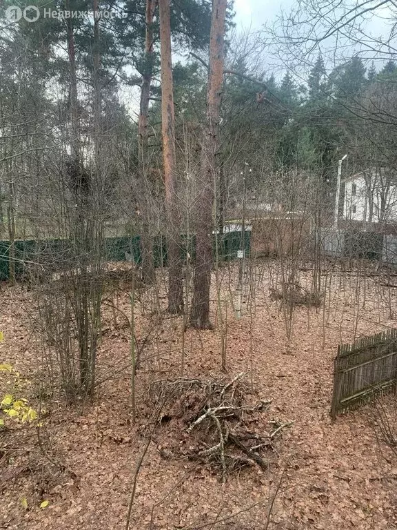 Участок в Кратово, улица Горького, 14 (22.81 м) - Фото 1