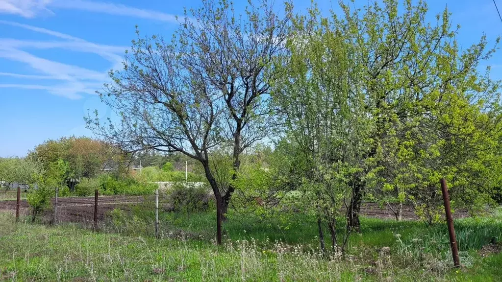 Участок 10 сот. (СНТ, ДНП) - Фото 1
