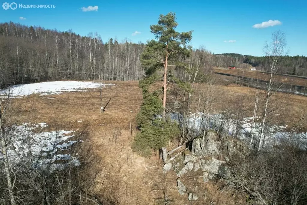 Участок в Республика Карелия, Лахденпохский муниципальный округ, ... - Фото 2