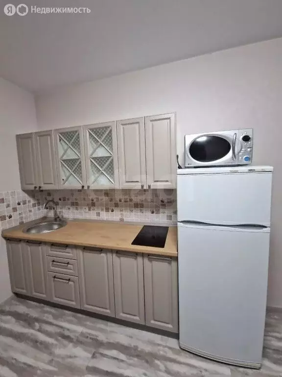 Квартира-студия: деревня Патрушева, улица Петра Ершова, 12 (29.4 м) - Фото 2