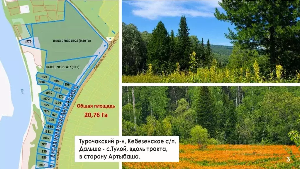 Участок в Алтай, Турочакский район, с. Тулой  (12.0 сот.) - Фото 1