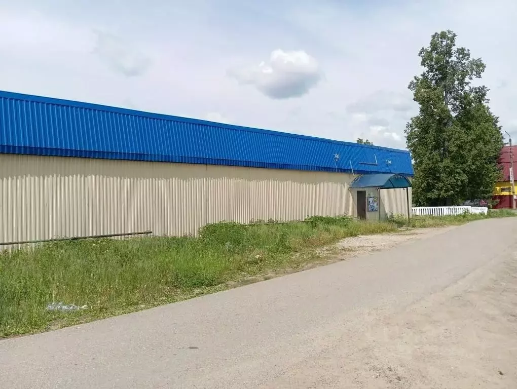 Торговая площадь в Владимирская область, Киржачский муниципальный ... - Фото 2