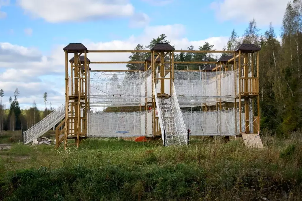 Участок в Ленинградская область, Приозерский район, Раздольевское ... - Фото 2