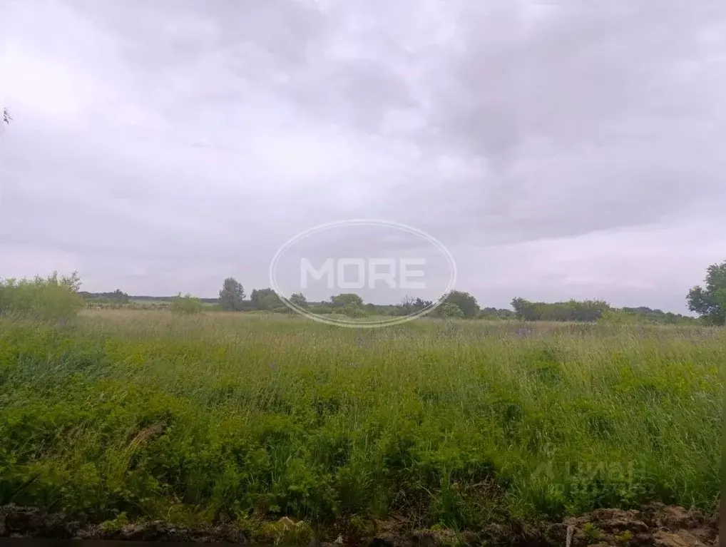 Участок в Калининградская область, Гурьевский муниципальный округ, ... - Фото 1