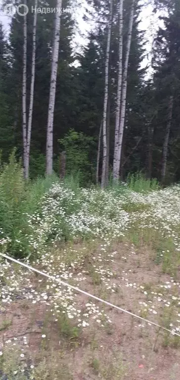 Участок в Томский район, посёлок Трубачёво, Просторная улица (13.8 м) - Фото 0