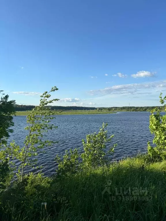 Участок в Ярославская область, Угличский муниципальный округ, д. ... - Фото 0