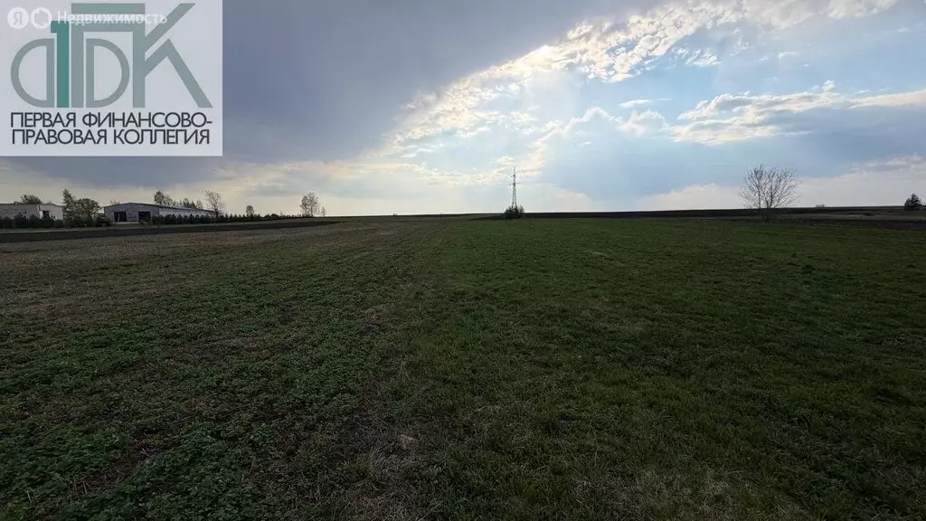Участок в Нижегородская область, городской округ Арзамас, село Новый ... - Фото 2
