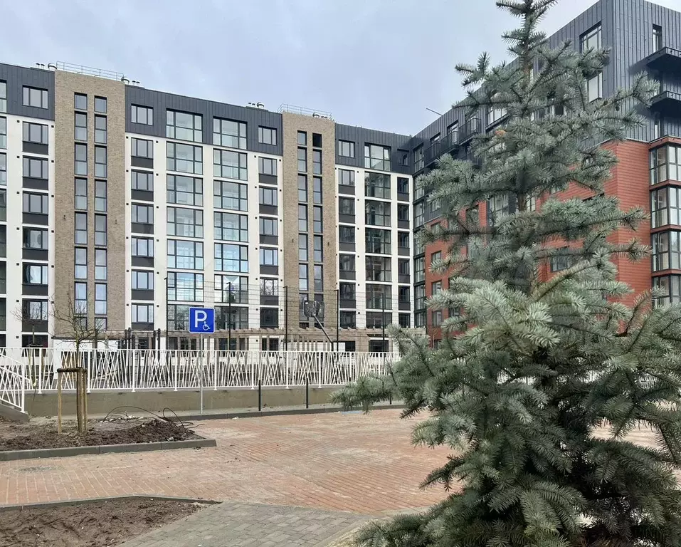 2-к. квартира, 65 м, 2/8 эт. - Фото 1