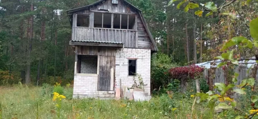 Дом в Брянская область, Брянский район, Стекляннорадицкое с/пос, Химик ... - Фото 2