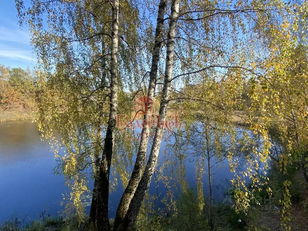 Участок в Московская область, Мытищи городской округ, д. Подрезово ш. ... - Фото 0