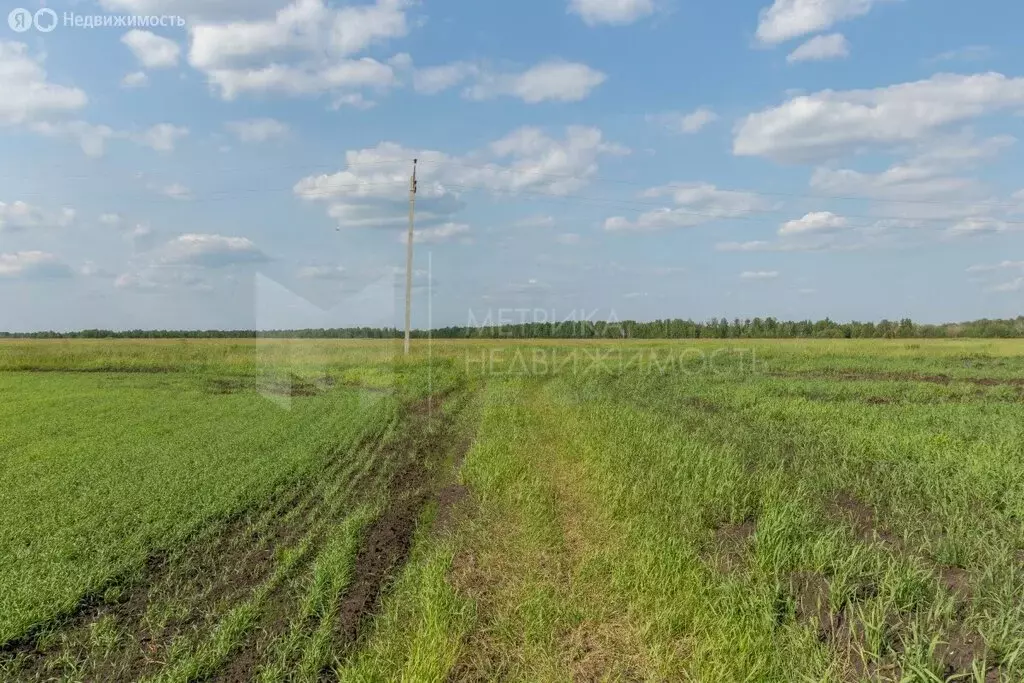 Участок в Тюменский муниципальный округ, КП Новая Горьковка (6 м) - Фото 1