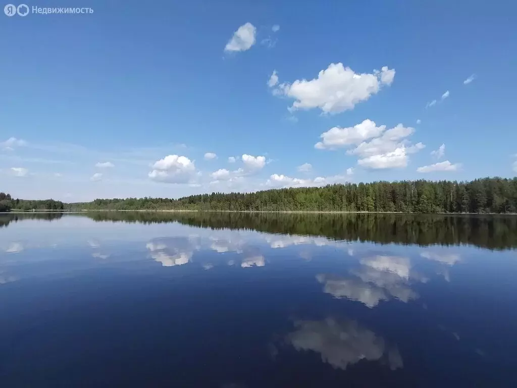 Дом в посёлок Лаврово, Стадионовская улица (49 м) - Фото 0