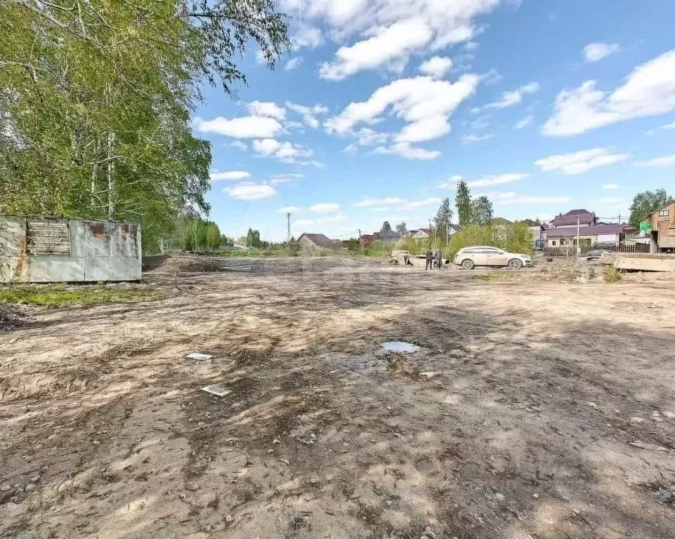 Участок в Новосибирская область, Новосибирский район, Каменский ... - Фото 1