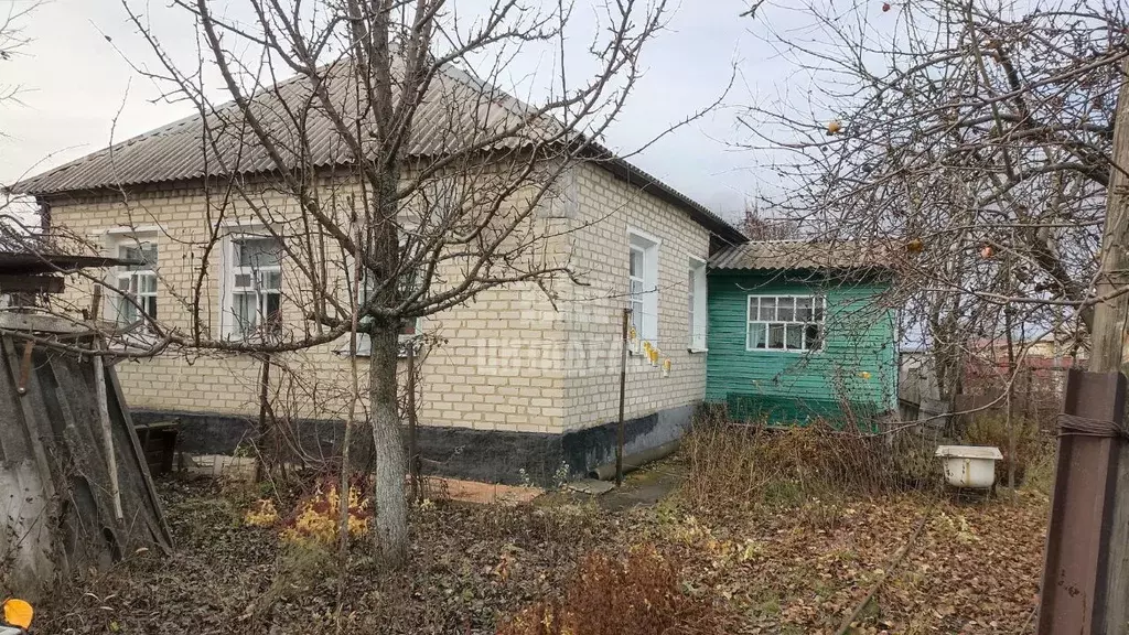 Дом в Курская область, Поселок Касторное муниципальное образование, ... - Фото 1