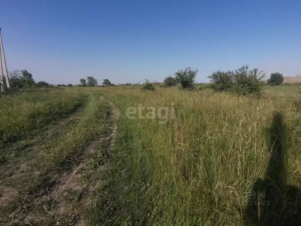 Участок в Краснодарский край, Усть-Лабинский район, Некрасовское ... - Фото 0