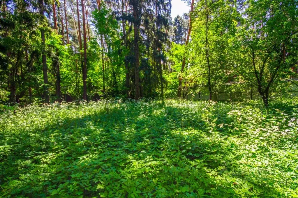 Участок в Московская область, Одинцовский городской округ, пос. Дома ... - Фото 1
