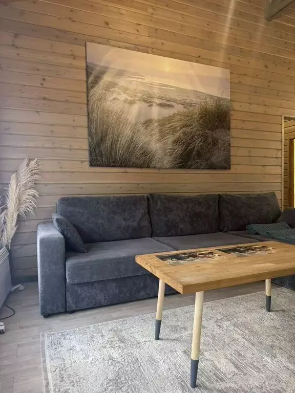 Дом в Ленинградская область, Выборг ш. Брусничное (88 м) - Фото 1