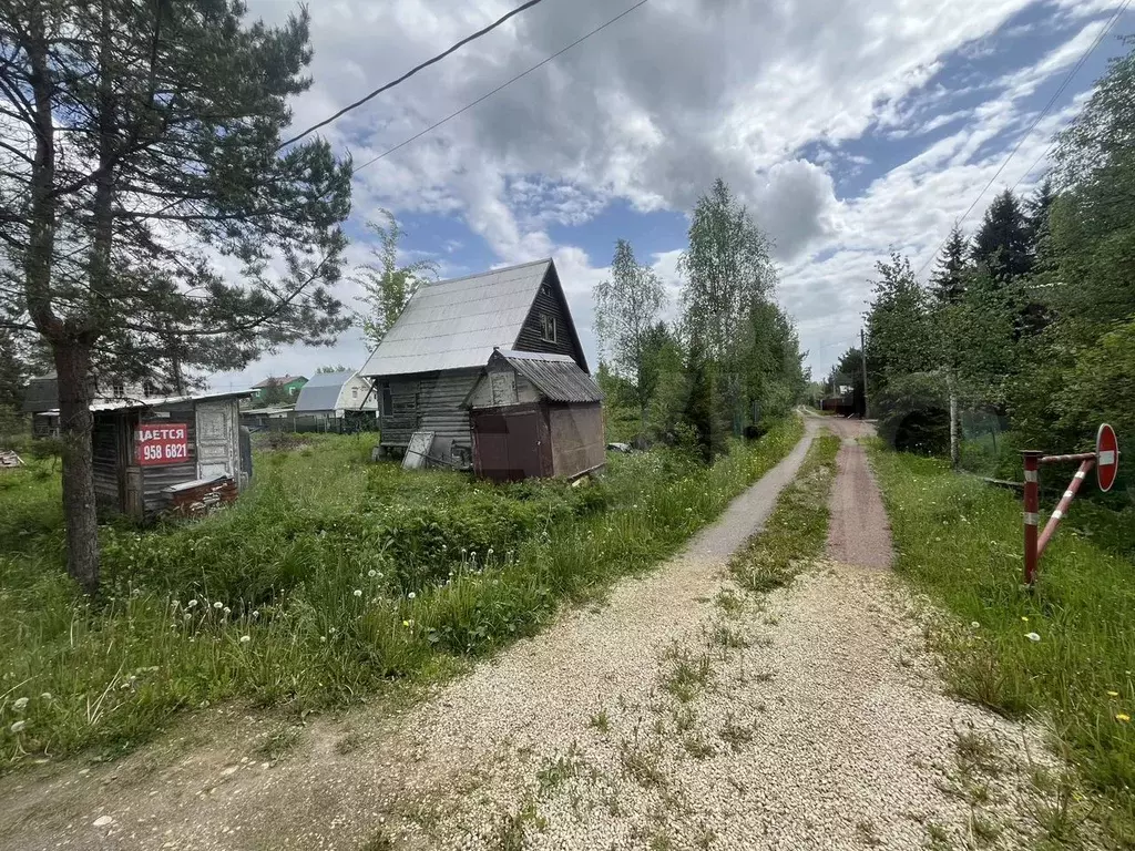Участок 6 сот. (СНТ, ДНП) - Фото 1
