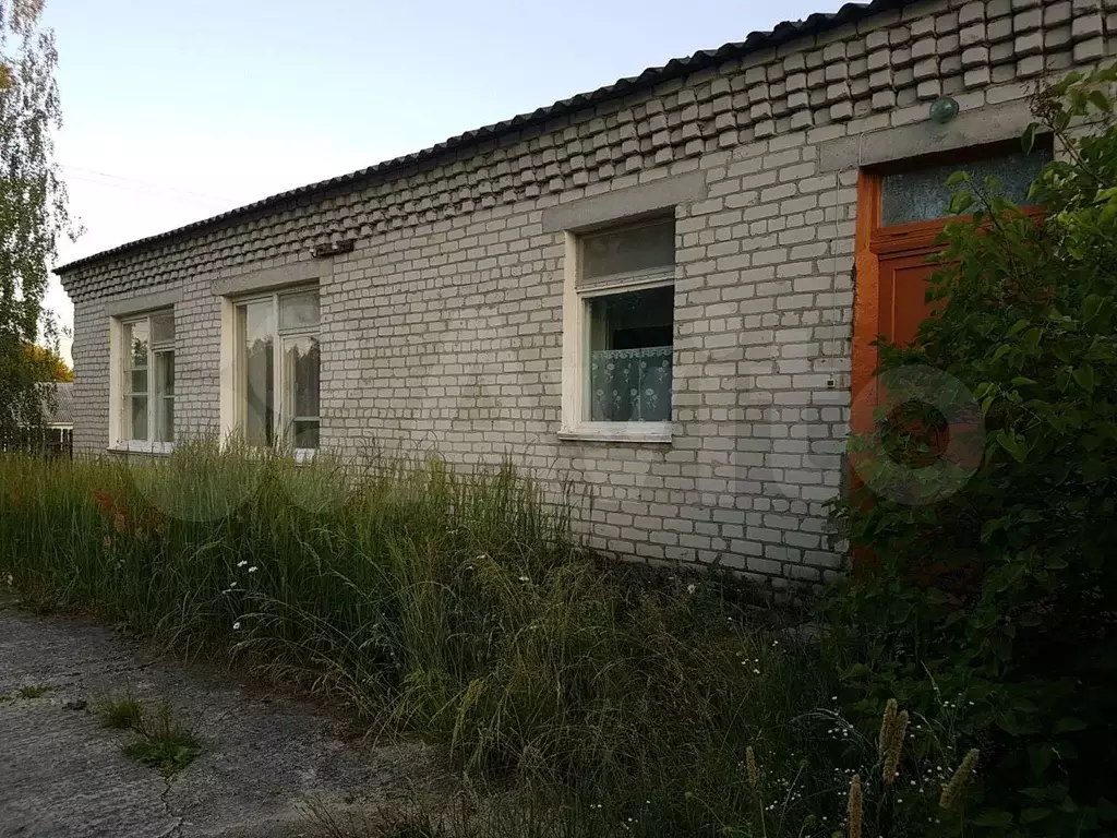 Купить Дом Пгт Клетня Новые Объявления Фото