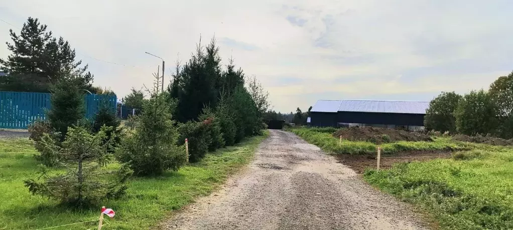 Участок в Московская область, Мытищи городской округ, д. Шолохово ш. ... - Фото 1