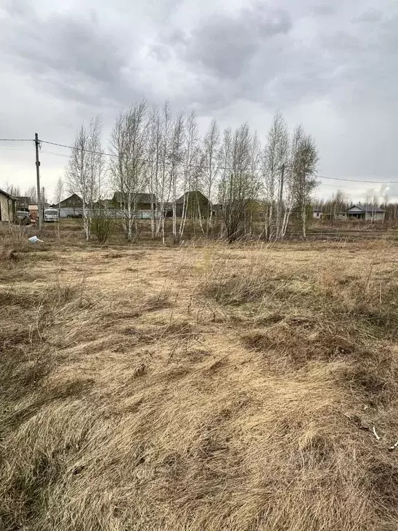 Участок в Новосибирская область, Новосибирский район, с. Верх-Тула ул. ... - Фото 0