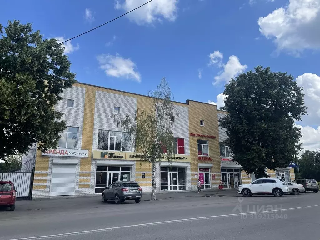 Торговая площадь в Воронежская область, Борисоглебск Советская ул., ... - Фото 0