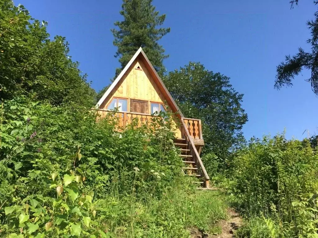 Дом в Алтай, Турочакский район, с. Яйлю ул. Центральная, 9А (35 м) - Фото 0