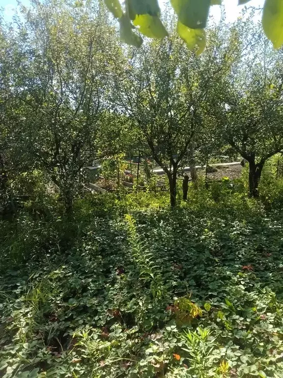 Дом в Засечное, садовое некоммерческое товарищество Присурский, 333 ... - Фото 1