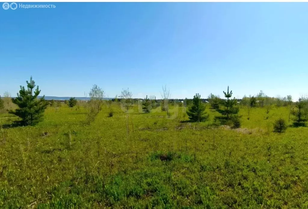 Участок в Пермский муниципальный округ, деревня Малая Мостовая, дачный ... - Фото 1