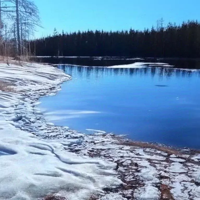 Участок в Ленинградская область, Коммунар г. Гатчинский муниципальный ... - Фото 1
