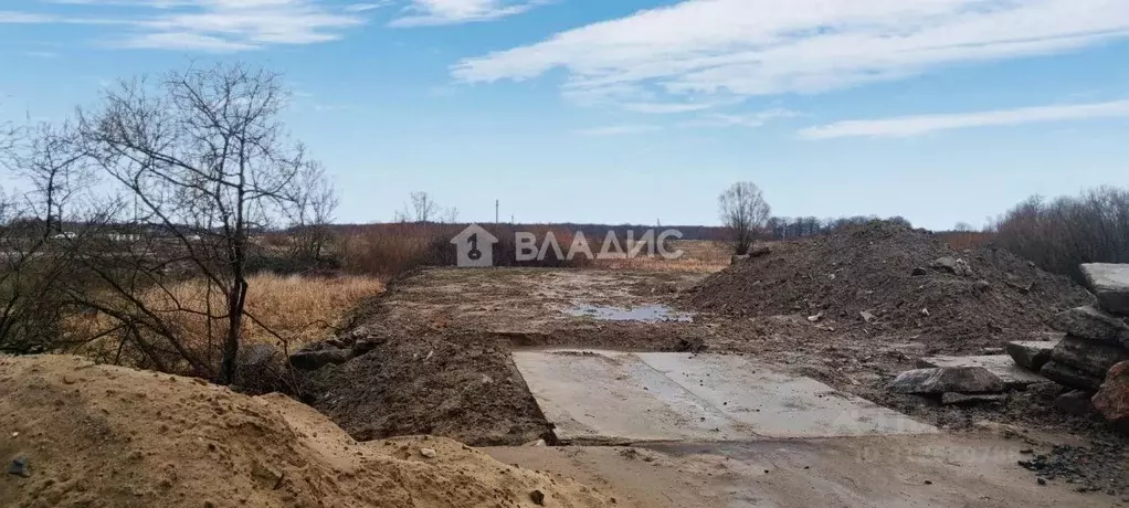 Участок в Калининградская область, Зеленоградский муниципальный округ, ... - Фото 0