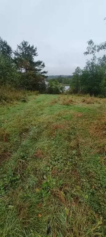 Участок в Карелия, Лахденпохский муниципальный округ, пос. Куянсуо  ... - Фото 2