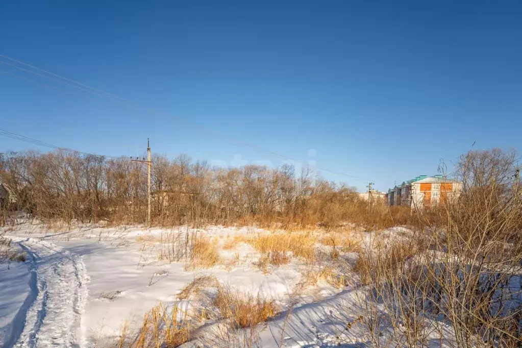 Участок в Хабаровский край, Хабаровск пос. Березовка, ул. Октябрьская ... - Фото 2