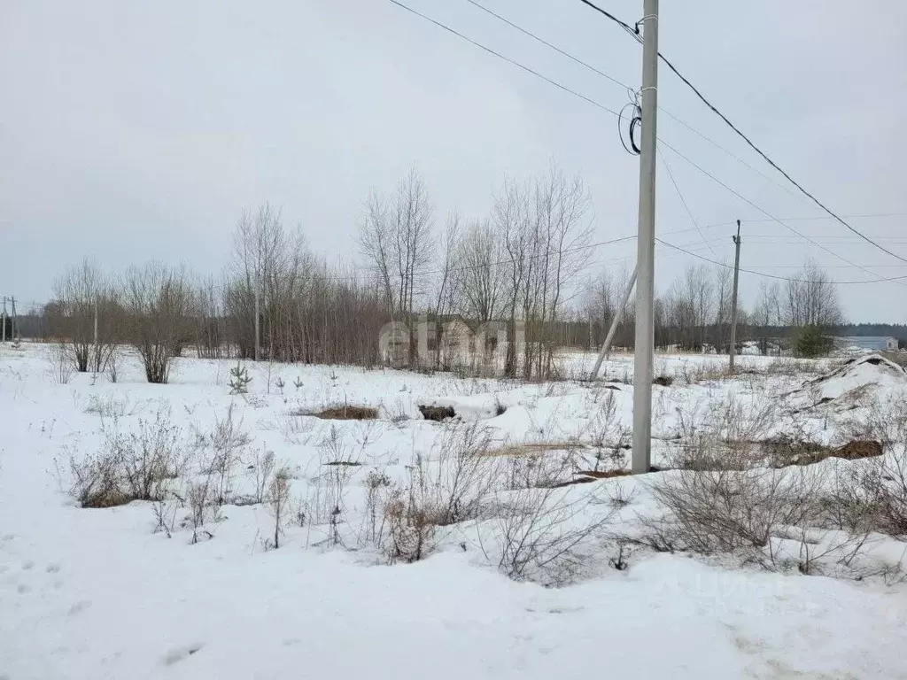 Участок в Владимирская область, Муромский район, с. Ковардицы ул. ... - Фото 0