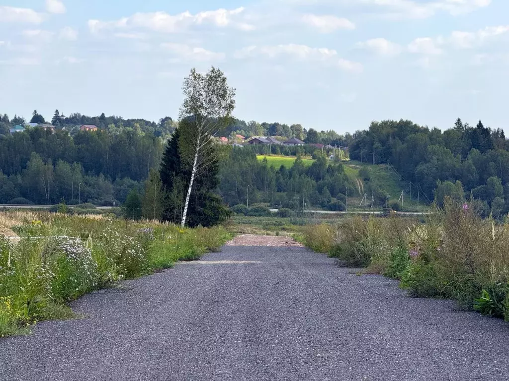 Участок в Московская область, Дмитровский муниципальный округ, ... - Фото 1