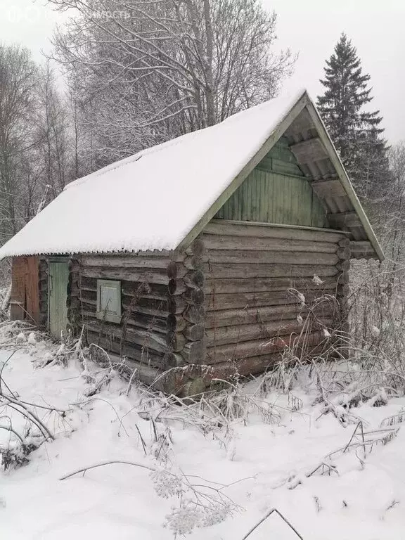 Дом в Псковская область, Порховский муниципальный округ, деревня Тинеи ... - Фото 0