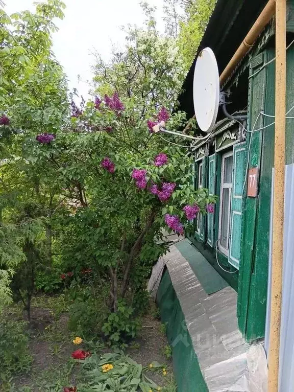 Дом в Самарская область, Кинель городской округ, Алексеевка пгт ул. ... - Фото 1