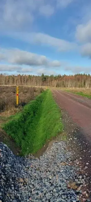 Участок в Ленинградская область, Приозерский район, Сосновское с/пос, ... - Фото 0