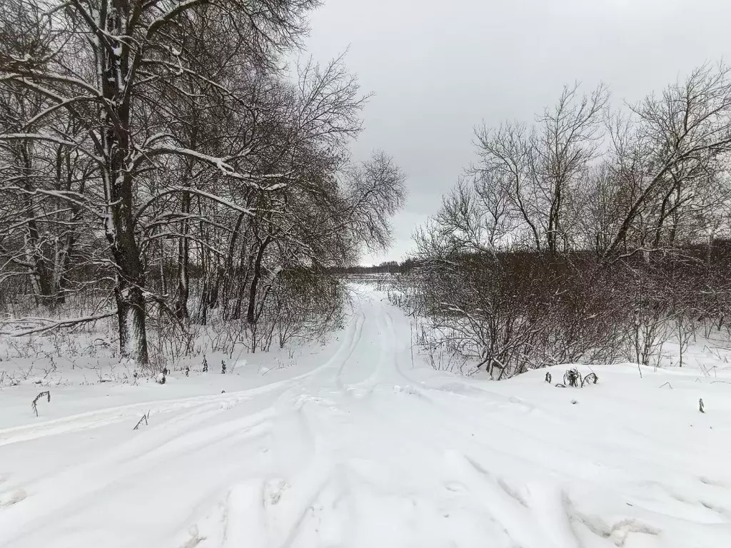 Участок в Тульская область, Заокский район, Демидовское с/пос  (38.0 ... - Фото 1