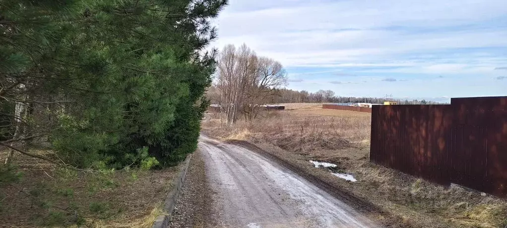 Участок в Московская область, Щелково городской округ, д. Орлово  ... - Фото 0